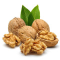 Walnut Peptide Powder Riced in Protein Walnut Protein Peptide for Food Supplement Manufactory