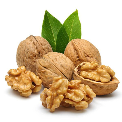 Walnut Protein Peptide for Food Supplement