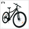 29 Inch MTB for Tall Man