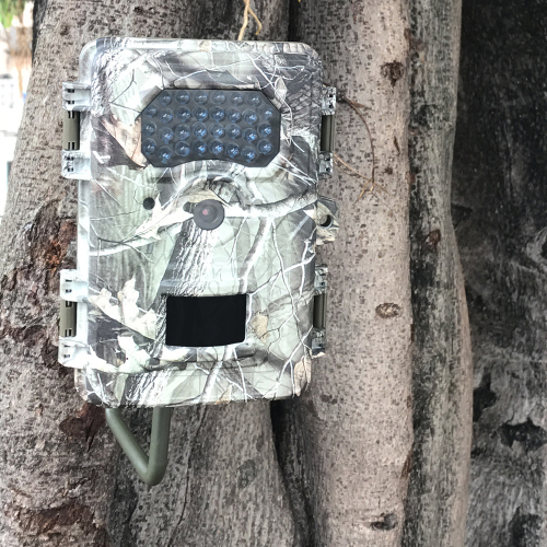 Water Resistant 12MP Trail Camera