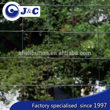 anti Bird protection netting use for vineyard, anti Bird protection net,PE anti bird netting