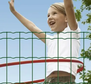 pvc coated holland wire mesh/HOLLAND ELECTRIC WELDED WIRE MESH (professinal facrtory!!)
