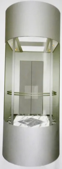 Elegent Panoramic Passenger Elevator With Glass Cabin