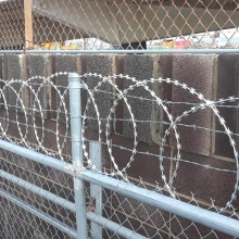 ODM Galvanized Razor Barbed Wire para protección forestal