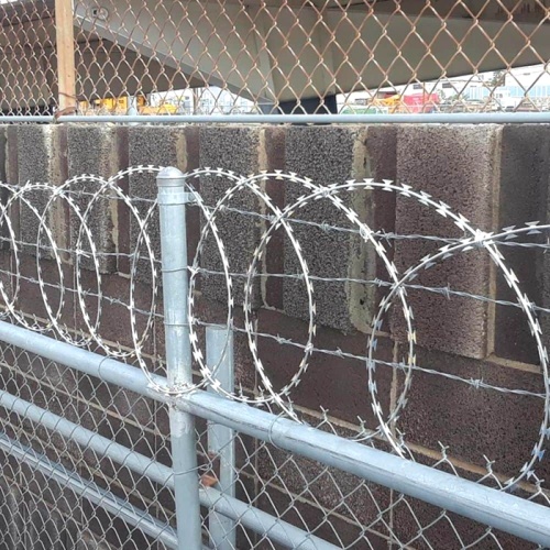 ODM Galvanized Razor Barbed Wire for Forest Protection