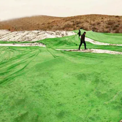 HDPE Shadow Mesh 60g/m² Sunshade Net for Agriculture (35%-95% Shading)