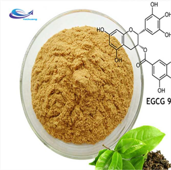 Herbal Tea Powder Honeysuckle flower Extract powder