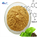 Herbal Tea Powder Honeysuckle flower Extract powder