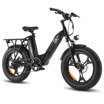 Antelope 48V 25Ah Utility Electric Bike