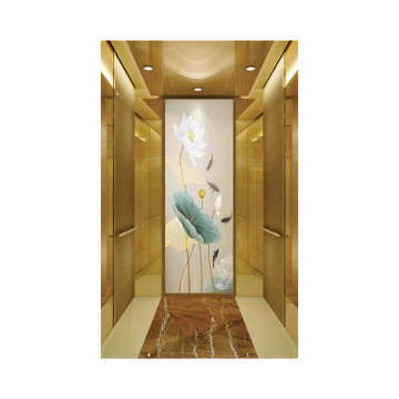 China High-Quality Low-Noise Large Capacity Passenger Elevator with New Design and Certification