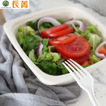 Sauce Sugarcane Noodle Bowl Biodegradable Sugarcane Bowl