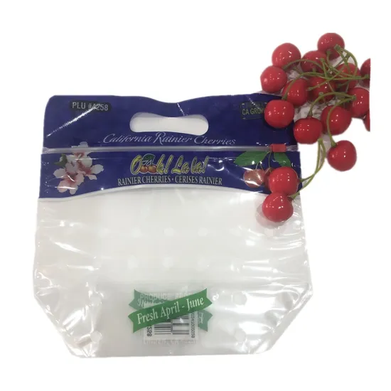 Hot Sell  Dry Fruit Packaging Aluminum Foil Plastic Stand Up Zipper Bags