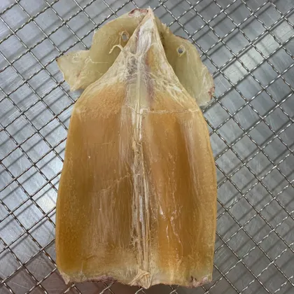 Frozen Dried Squid Snacks – Customized, Headless, Fresh Seafood Treat