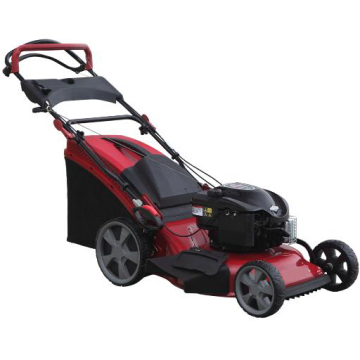 Professional Lawn Mower with CE GS Certified (Briggs&Stratton 625E)