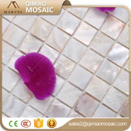 All Kinds Of Building Materials Super White Sea Shell Abalone Mosaic