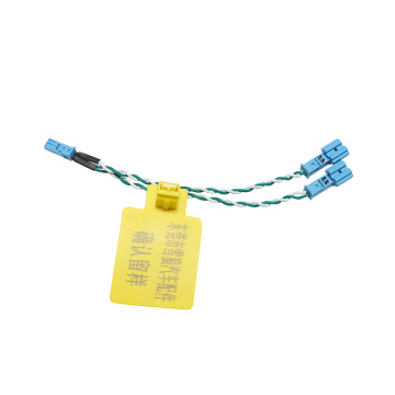 234 Pin Audio -Stecker für Auto -Audiosysteme