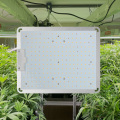 LED屋内植物の全スペクトルの栽培ライト