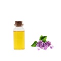 bulk price of clove essential oil