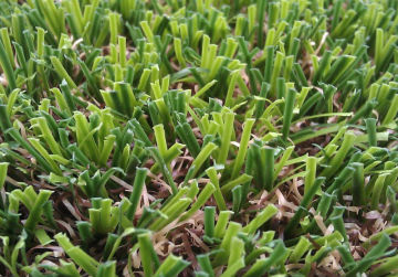Swimming Pool Grass Turf Aritificial Gras