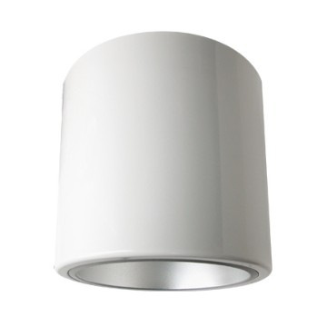 Ceiling mount fluorescent downlights Compact fluorescent lamps
