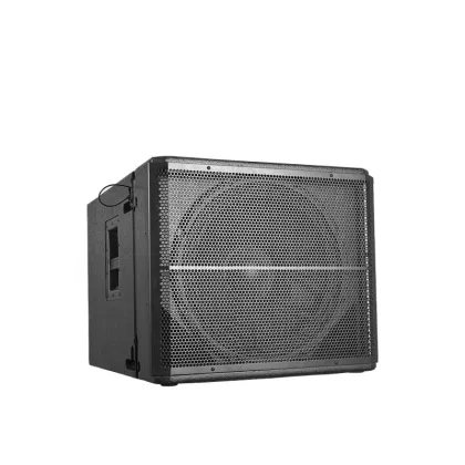 200 watt loudspeaker mega bass withDSP mega