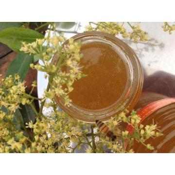 2020 new crop lychee honey