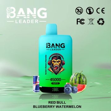 Bang Leader 45 Double Flavors Spain Wholesale