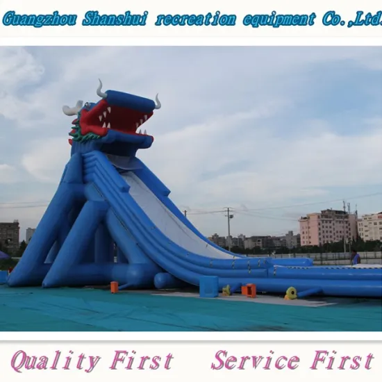 Giant Playground: 1000 ft Dragon Inflatable Water Slide for Sale