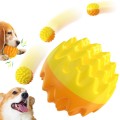 Hållbar interaktiv tugga pittig leksakshundben