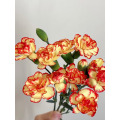 স্প্রে কার্নেশন সাম্বা সূর্যাস্ত হলুদ