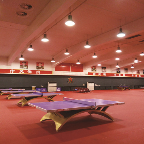 Indoor PVC Rolling Tafeltennisbaan Oppervlak