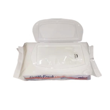 Hot Selling Non Woven Cleaning Adult Wet Wipes