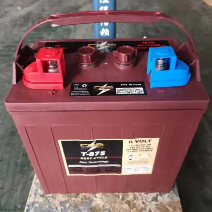Trojan T875 8V170AH Golf Cart Electric Battery