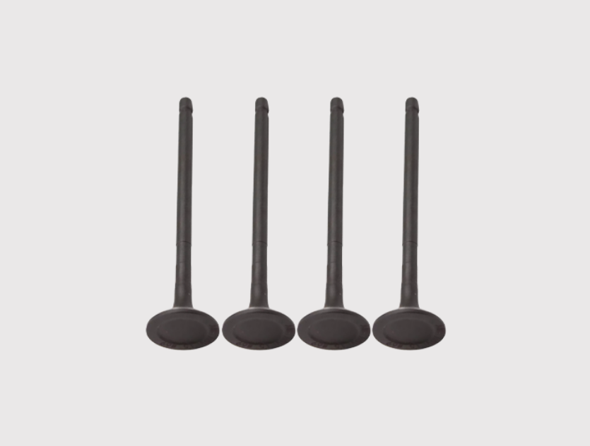 Intake Valve 22211-02220 for Engine