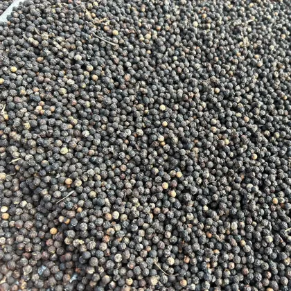 Sichuan pepper dry spices herbs flavored black pepper