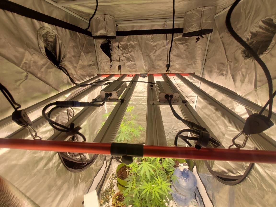 What's the differences between led light and sun?