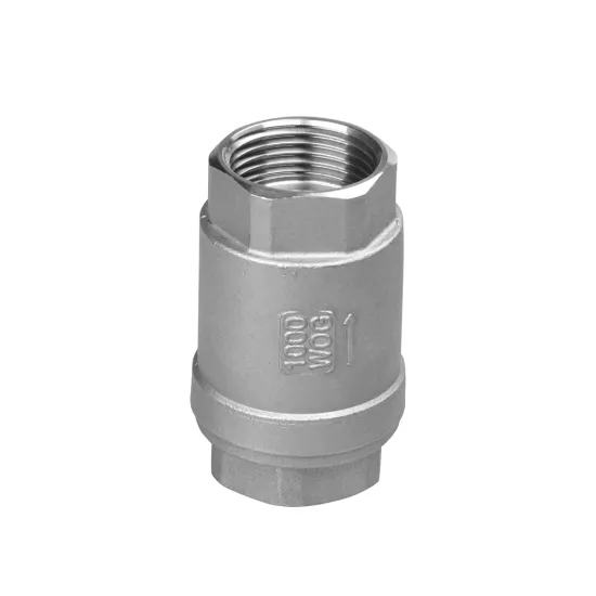 stainless steel check valve 2PC SPRING TYPE
