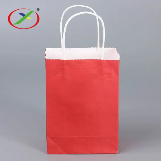 Recycle Take Away Paper Bag With Handles