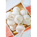 /msite/products/detail/productid/59628307/id/677584.html