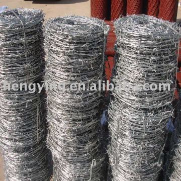 barbed wire tyu