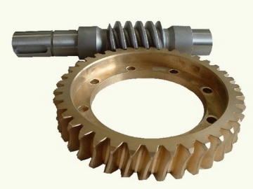 China Supplier of Worm Gear Price