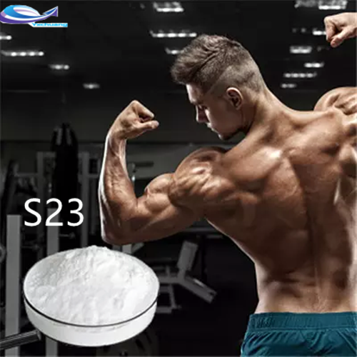 поставка лучшая цена SARMS Powder S23