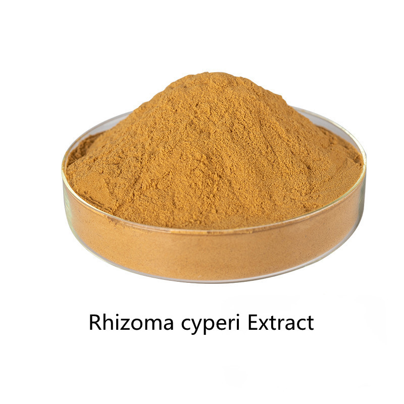 Rhizoma cyperi Extract