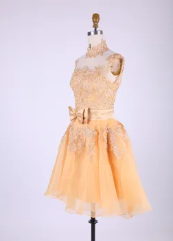 Beautiful Short Evening Dresses 2015 A-line Hollow Back