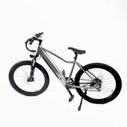 Light folding bicycle, adult electric bicycle