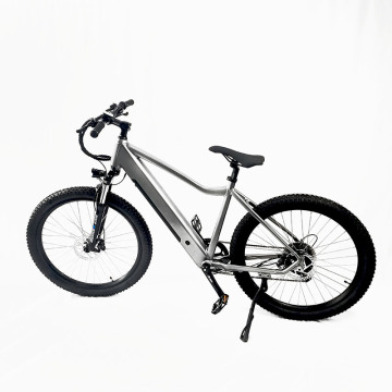 Foldable Electric Bicycle for Adults