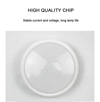 Voice-Controlled 24W Ceiling-Mounted Moisture-Proof LED Light