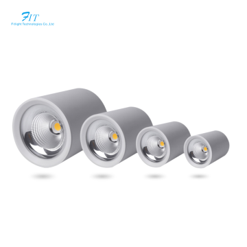 Hot Sales: White Black LED Downlight Fixture Surface Mounted Spotlight