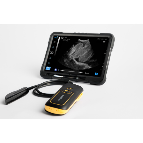EagleScan LC horse ultrasound scanner