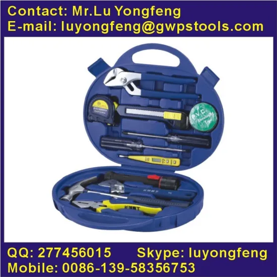 12pcs DIY tool kit in blow case for home impovement use